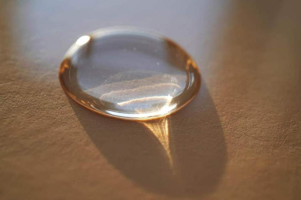 Gota
