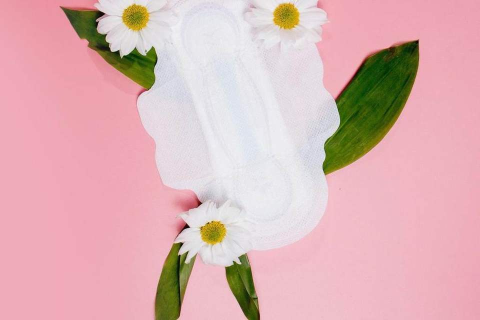 Absorvente