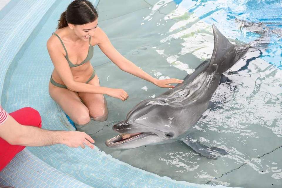 Uma